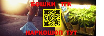 стаф Кунгур