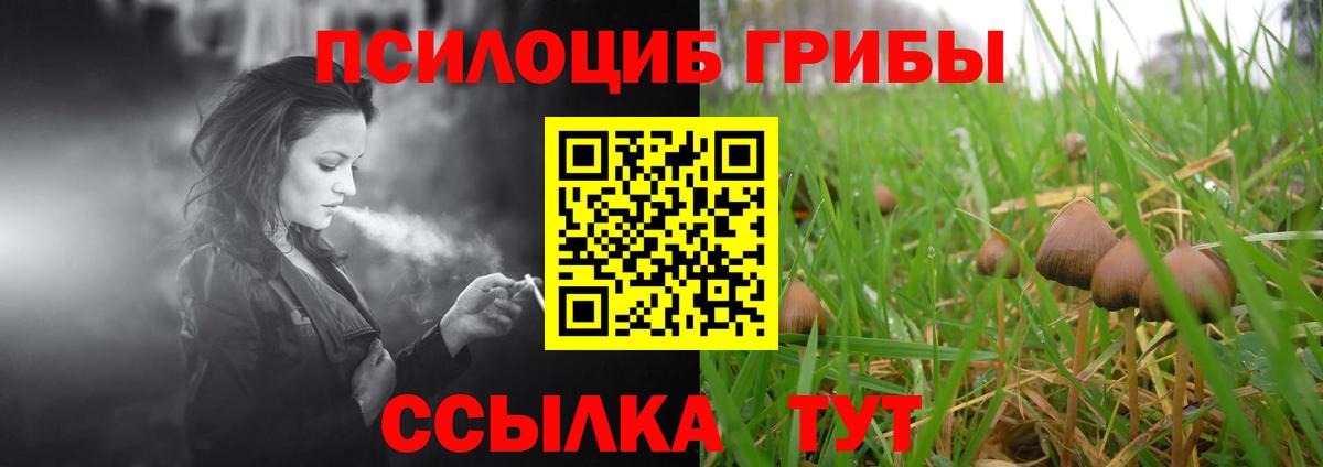Псилоцибиновые грибы мицелий  Вход с VPN  Тулун  Галлюциногенные грибы мицелий 